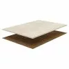 BAUHAUS DryTile Feinsteinzeugfliese Evalia 60 X 60 Cm, Beige, Glänzend