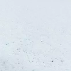 BAUHAUS Hochflorteppich Sydney 3000 Weiß, 400 X 300 Cm, 100% Polypropylen -Angebote Fliesen Verkäufe 12 4039