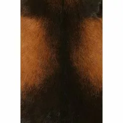 BAUHAUS Esbeco Deko-Ziegenfell Braun, 70 X 55 Cm, 100 % Echtfell -Angebote Fliesen Verkäufe 12 5246