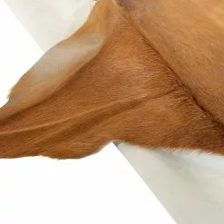 BAUHAUS Esbeco Deko-Ziegenfell Braun, 70 X 55 Cm, 100 % Echtfell -Angebote Fliesen Verkäufe 12 5248