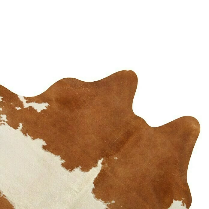 BAUHAUS Esbeco Deko-Kuhfell Braun/Weiß, 100 % Echtfell, Fläche Ca.: 3 M² - 4 M² 6 BAUHAUS Esbeco Deko-Kuhfell Braun/Weiß, 100 % Echtfell, Fläche Ca.: 3 M² - 4 M² – Bild 6
