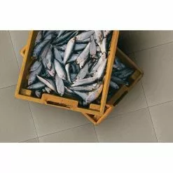 BAUHAUS Feinsteinzeugfliese Acapulco 30 X 30 Cm, Grau, Matt -Angebote Fliesen Verkäufe 12 530